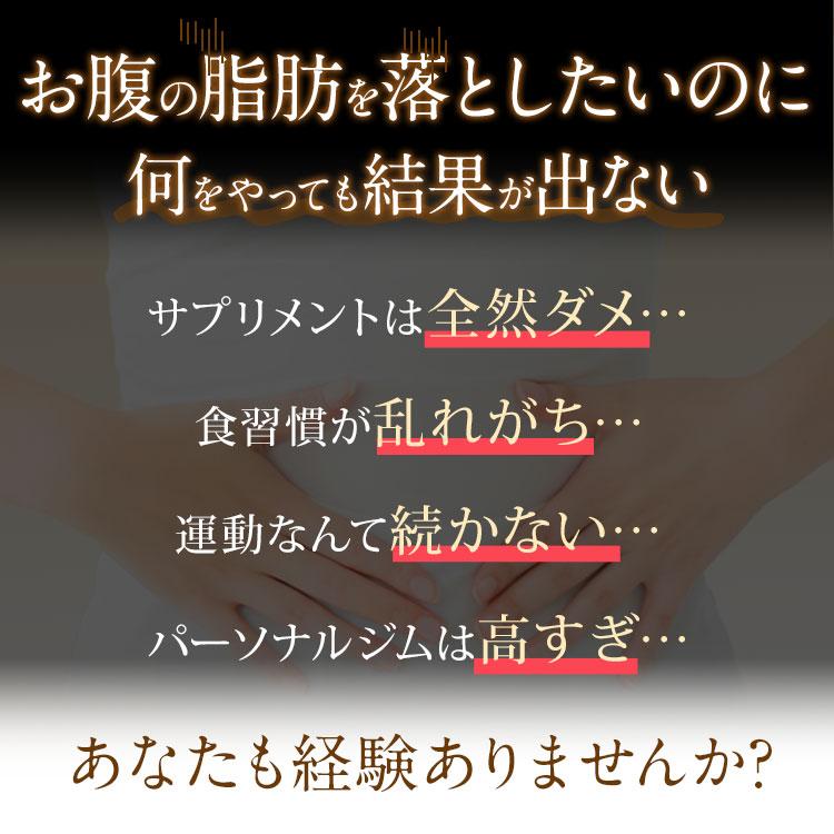 公式／第2類医薬品 生漢煎「防風通聖散」(90包入り）3箱セット