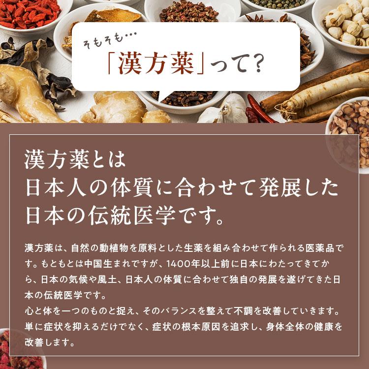 公式／第2類医薬品 生漢煎 防風通聖散錠SS(180錠入り）※15日分×2袋