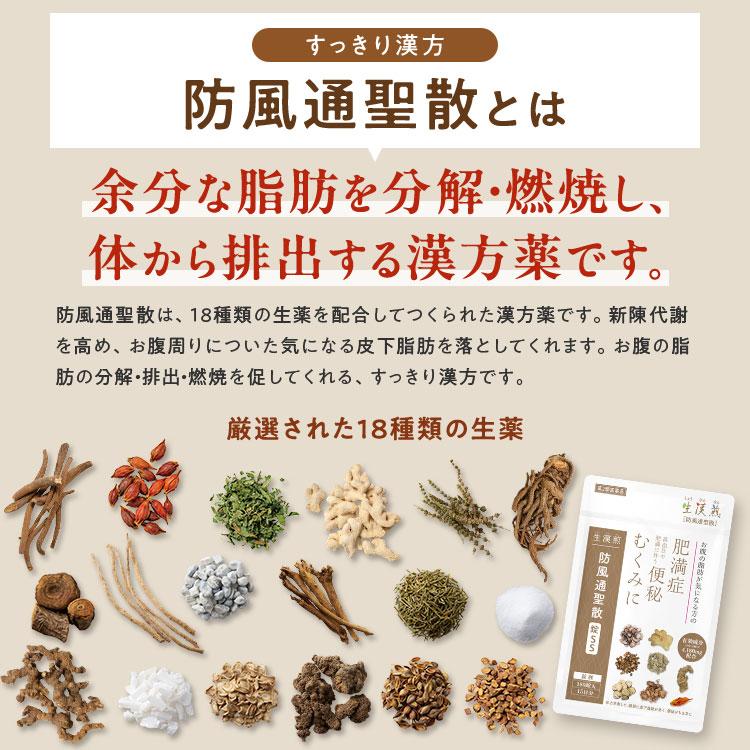 公式／第2類医薬品 生漢煎 防風通聖散錠SS(180錠入り）※15日分×4袋（約