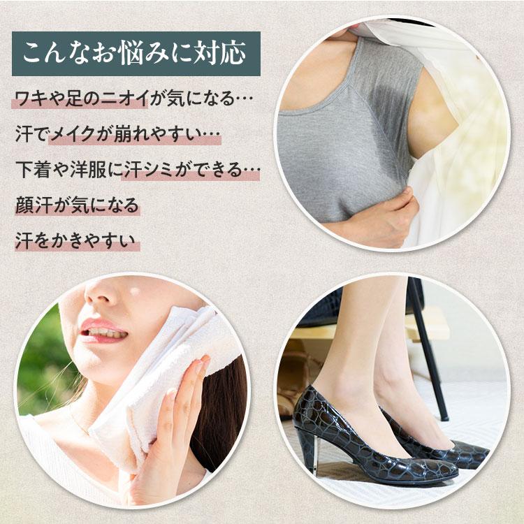 DEOGANIST デオガニスト （医薬部外品）45g/1個※メール便 [殺菌 制汗