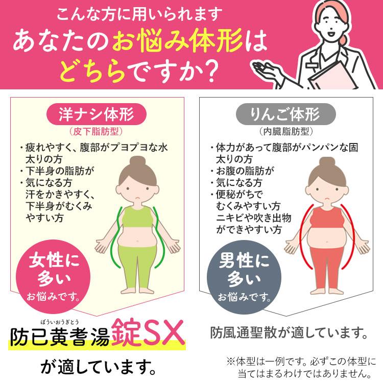 公式／第2類医薬品 生漢煎 防已黄耆湯 錠SX 180錠入（15日分）漢方 