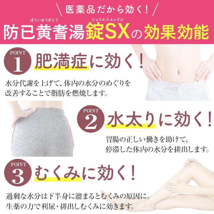 公式／第2類医薬品 生漢煎 防已黄耆湯 錠SX 180錠入（15日分×4袋）※約2