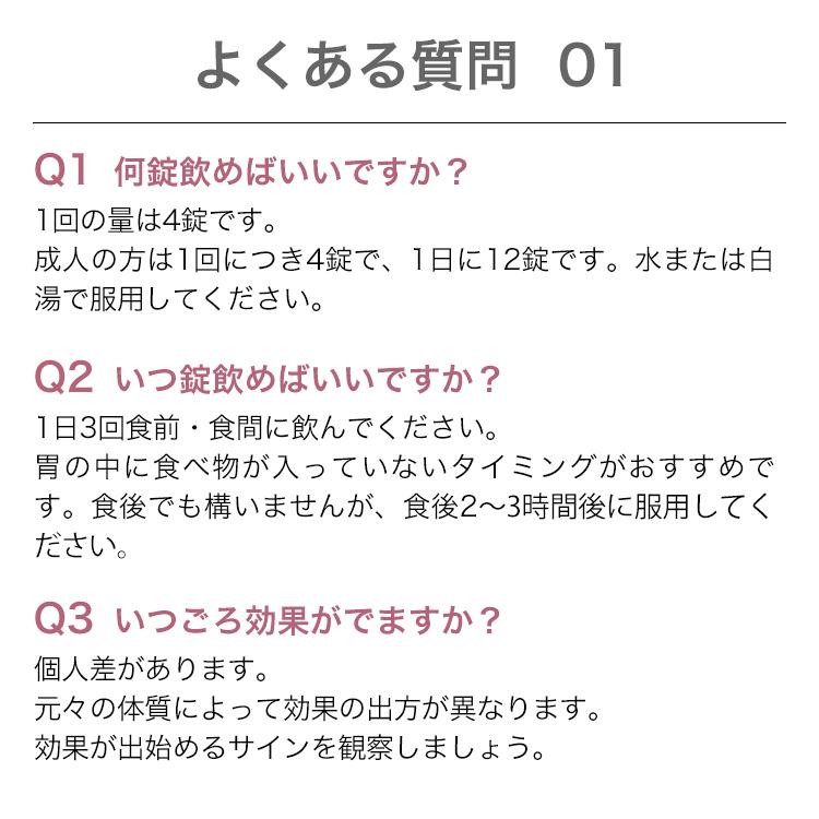 公式／第2類医薬品 生漢煎 防已黄耆湯 錠SX 180錠入（15日分×6袋）※約3 