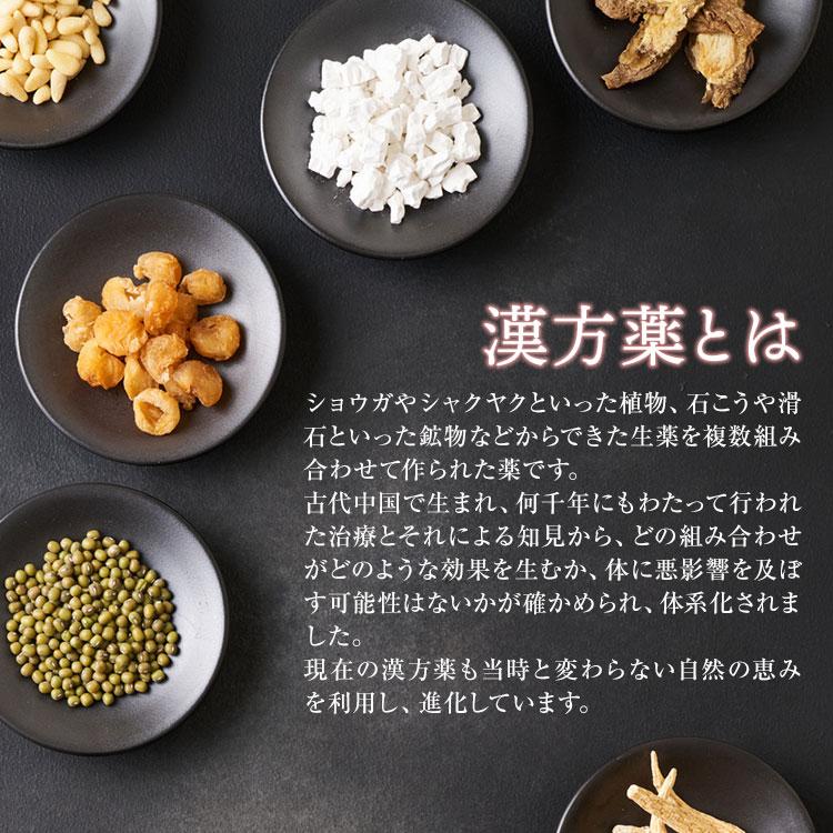 公式／第2類医薬品 生漢煎 防已黄耆湯 顆粒 ＜満量処方＞90包（30日分