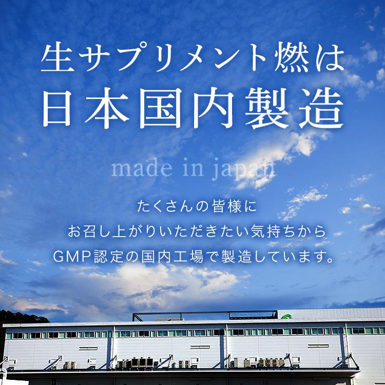 【4袋セット】酵水素328生サプリメント"燃" Amazon | 酵水素328選 生サプリメント燃/ブラックジンジャー