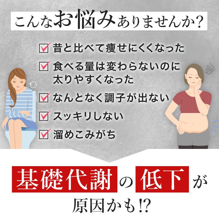 公式／酵水素328選生サプリメント燃 （90粒 約30日分）／爆買 燃焼系