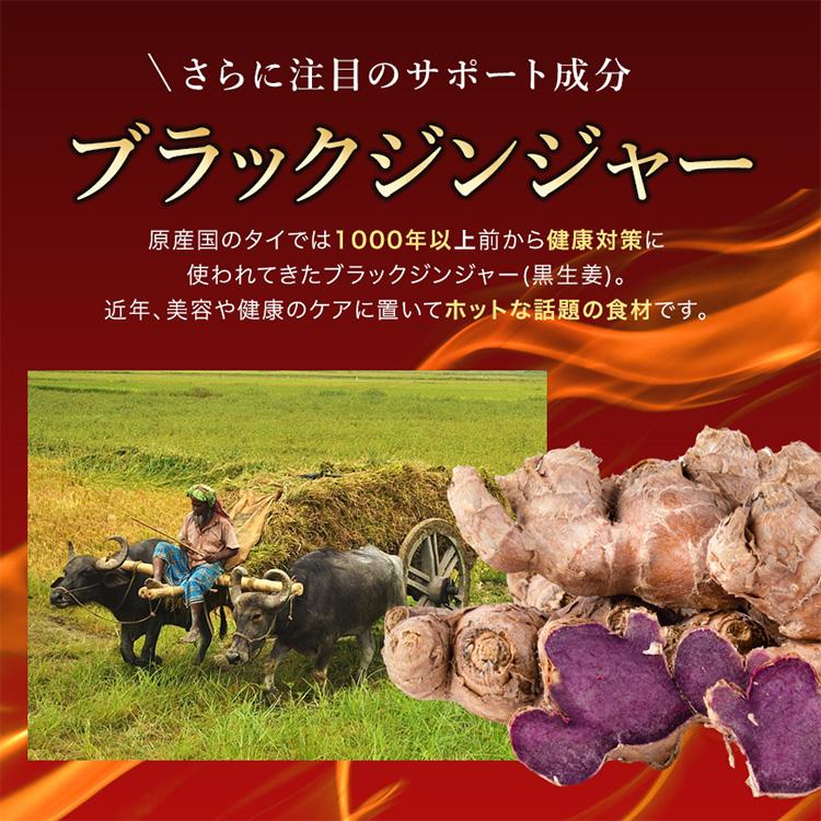 公式／酵水素328選生サプリメント燃 （90粒 約30日分）／爆買 燃焼系