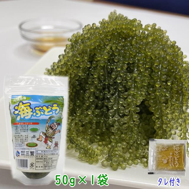 沖縄県産 海ぶどう 上質 50g シール付き うみぶどう 化粧箱なし 届いてすぐ食べられるタレ付き