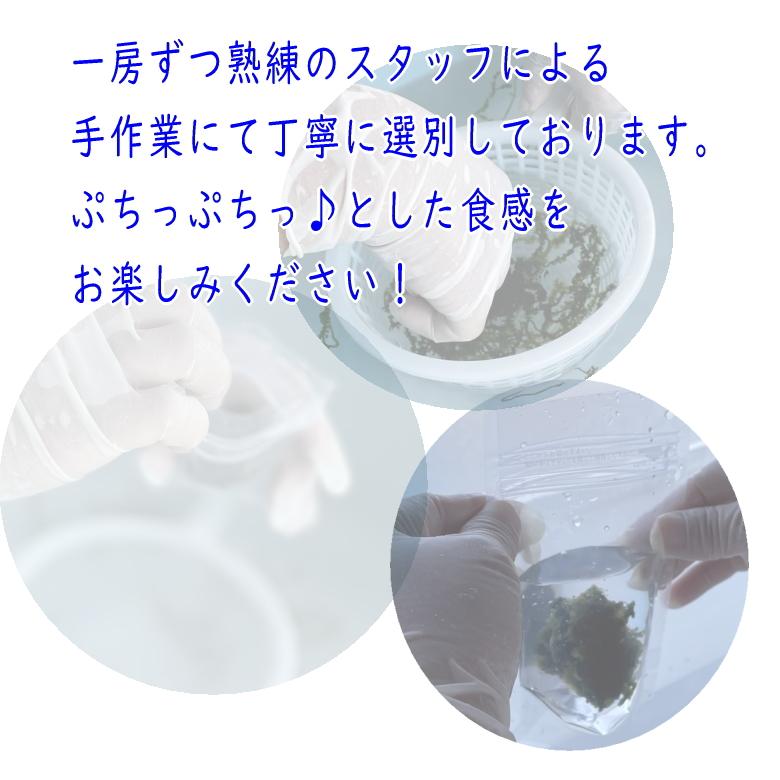 沖縄県産 感謝の海ぶどう 50g×4袋 タレ付 化粧箱なし｜y-sansei-shop｜06