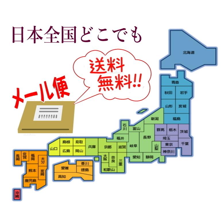 沖縄県産 感謝の海ぶどう 50g×4袋 タレ付 化粧箱なし｜y-sansei-shop｜14