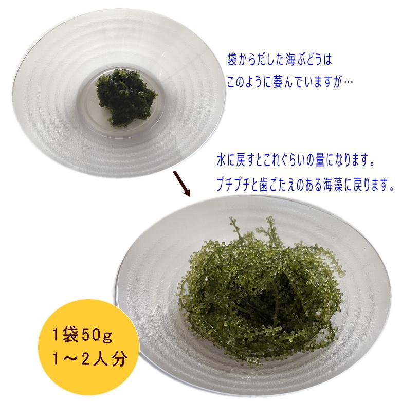沖縄県産 感謝の海ぶどう 50g×3袋 タレ付 化粧箱なし ネコポス便
