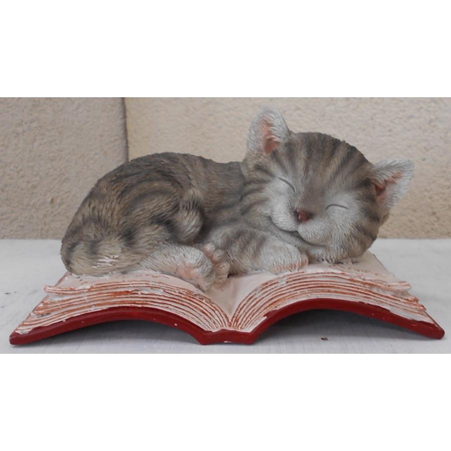 送料別途 本の上で寝る猫 グレーキャット ブック 猫の雑貨 ネコ キャットcat 置物 眠り猫 本 オブジェ アウトレット品 Tos 0041 建材ステーション Yahoo 店 通販 Yahoo ショッピング