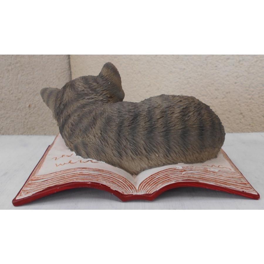 送料別途 本の上で寝る猫 グレーキャット ブック 猫の雑貨 ネコ キャットcat 置物 眠り猫 本 オブジェ アウトレット品 Tos 0041 建材ステーション Yahoo 店 通販 Yahoo ショッピング