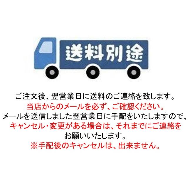 【送料別途】ハンマータッカーWE/若井(WAKAI)産業｜y-seidashop｜03