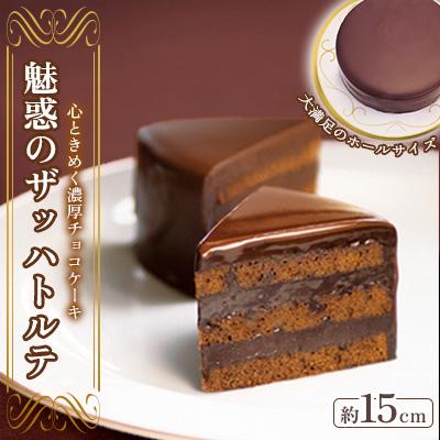 ふるさと納税 柳井市 魅惑のザッハトルテ