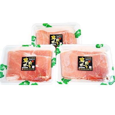 ふるさと納税 上天草市 梅肉ポークモモしゃぶセット 750g