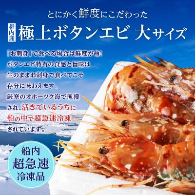 ふるさと納税 稚内市 【厳選品】ボタンエビ大サイズ500g + ホタテ200gセット 刺身 海鮮 |  | 01