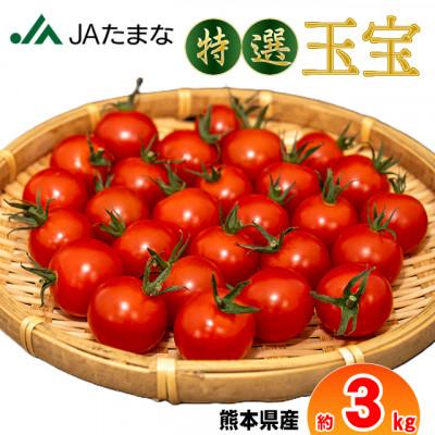 ふるさと納税 玉名市 [先行予約]全国最大級の生産地の「ミニトマト3kg」 産地JA直送