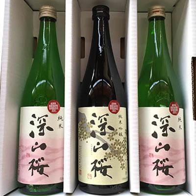 ふるさと納税 長野県 原産地呼称制度認定　純米吟醸酒・純米酒セット