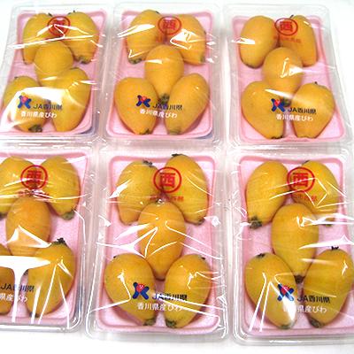 ふるさと納税 高松市 [先行受付2027年]高松産季節の果物[びわ]約1.5kg