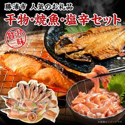 ふるさと納税 勝浦市 干物・焼魚・塩辛セット : さとふる - 通販