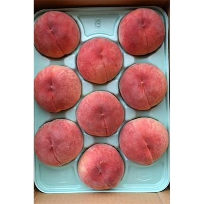 ふるさと納税 飯田市 南信州産「桃」約3kg〈あかつき・白鳳〉 【2026年7月より順次発送】の画像