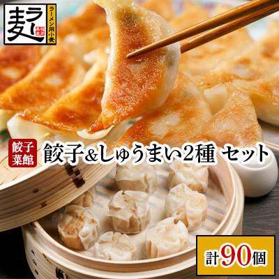 ふるさと納税 大刀洗町 餃子菜館90個セット(餃子60個&amp;大粒しゅうまい2種類 各15個)