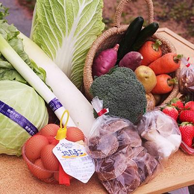 ふるさと納税 小野市 旬の魅力を詰め込みました!!小野市産季節の野菜セット