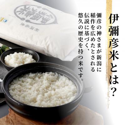 ふるさと納税 弥彦村 令和7年産特別栽培米コシヒカリ 伊彌彦米 10kg