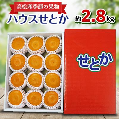 ふるさと納税 高松市 [先行受付2026年]高松産季節の果物[ハウスせとか]約2.8kg