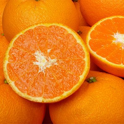 ふるさと納税 柳井市 [山口県ブランド]瀬戸内の春みかん せとみ 20玉〜24玉(約4.5kg)