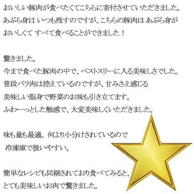 ふるさと納税 横芝光町 豚肉(精肉) オリヴィアポーク 豚肉セット1kg (生姜焼き用ロース・焼き肉バラ)  豚バラスライス