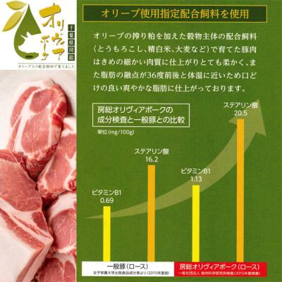 ふるさと納税 横芝光町 豚肉(精肉) オリヴィアポーク 豚肉セット1kg (生姜焼き用ロース・焼き肉バラ)  豚バラスライス
