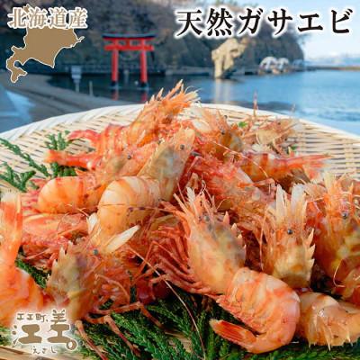 ふるさと納税 江差町 北海道産 希少な天然ガサエビ 500g