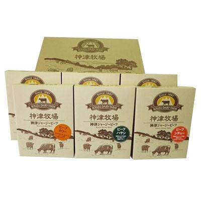 ふるさと納税 下仁田町 神津牧場 ジャージー牛肉のレトルト6個セット