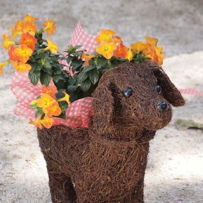 アイテムID:394209の画像1枚目