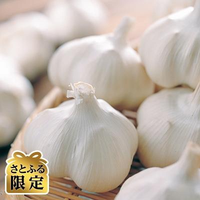 ふるさと納税 南部町 [さとふる限定]南部町営卸売 市場直送にんにく 2Lサイズ(約1kg)