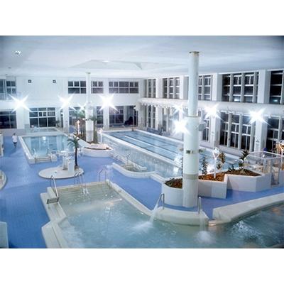 ちーページ ふるさと納税 南部町 バーデパーク ペア宿泊券(1泊2食付)+バーデ