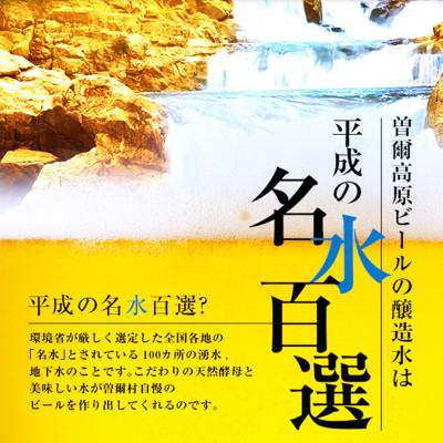 【推し】 ふるさと納税 曽爾村 【奈良県のクラフトビール】曽爾高原ビール10本セット 【2030896013】(13000円)
