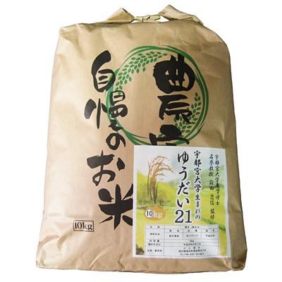 メール便無料 ふるさと納税 無洗米10kg 塩谷産米 ゆうだい21 塩谷町 ふるさと納税 無洗米 塩谷町 米 雑穀 粉類