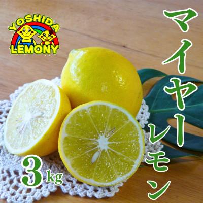 ふるさと納税 宇城市 先行予約 レモン 国産マイヤーレモン 3kg