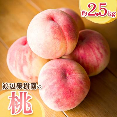 ふるさと納税 須賀川市 渡辺果樹園の桃 約2.5kg(段ボール箱入り)