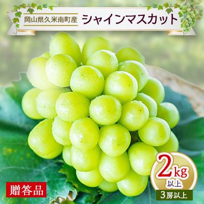ふるさと納税 久米南町 [2026年発送]岡山名産[晴王]シャインマスカット2kg以上(3房以上)[贈答品]久米南町産