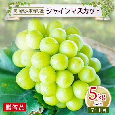 ふるさと納税 久米南町 [2026年発送]岡山名産[晴王]シャインマスカット5kg以上(7〜8房)[贈答品]久米南町産