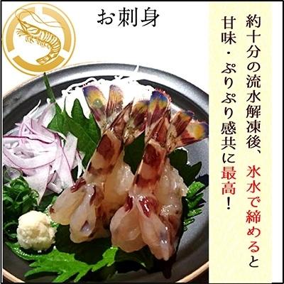 ふるさと納税 上天草市 匠の車えび【活き締め急速冷凍】300g(9尾〜12尾)|y-sf|03