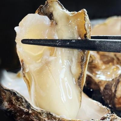 ふるさと納税 厚岸町 厚岸産殻牡蠣『カキえもん』『マルえもん』食べ比べセット計16個＜道の駅オリジナル牡蠣剥きナイフ付＞