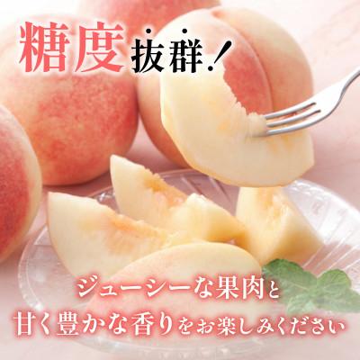 ふるさと納税 山梨市 【2026年発送】山梨旬の桃 約2kg(5〜7玉)の画像