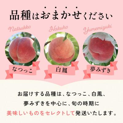 ふるさと納税 山梨市 【2026年発送】山梨旬の桃 約2kg(5〜7玉)の画像
