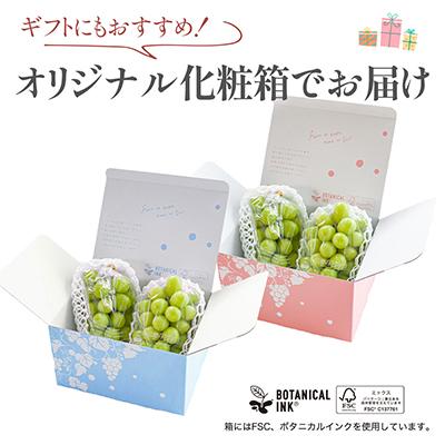 ふるさと納税 シャインマスカット 山梨市 【2026年発送 】シャイン