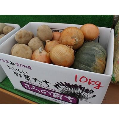 送料無料（一部地域を除く） ふるさと納税 上富良野町 高評価 秋野菜詰め合わせセット 10kg